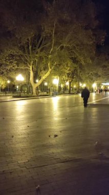 İnsanlar bir sonbahar akşamında şehirde parlayan sokak ışıklarıyla parkta yürüyorlar. Dikey