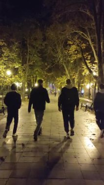 Odessa, Ukrayna, 2 Kasım 2024: İnsanlar bir sonbahar akşamı parlayan sokak lambalarıyla parkta yürüyorlar. Dikey