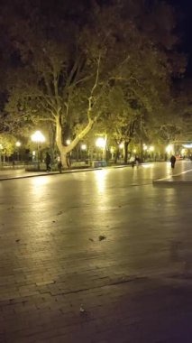 İnsanlar bir sonbahar akşamında şehirde parlayan sokak ışıklarıyla parkta yürüyorlar. Dikey