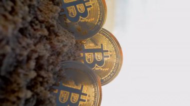 Güneşli bir sabahta kumlu sahil kıyısında kumdaki üç Bitcoin BTC sikkesi. Bitcoin para kripto para kripto para kripto para kripto bit para dijital web 3 şifreleme