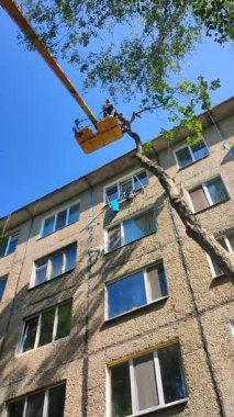 Bila Tserkva, Ukrayna, 25 Ağustos 2024: Ağaç budama. Güneşli bir günde inşaat vinç kesme sepetindeki belediye çalışanları şehrin yakınındaki evde taç takıyorlar. Dalları kesen işçiler. Dikey