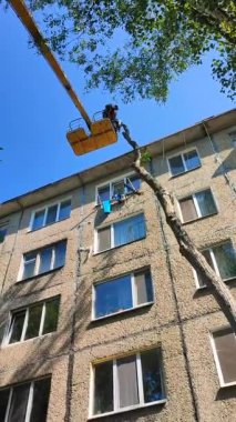 Ağaç budamak. Güneşli bir günde inşaat vinç kesme sepetindeki belediye çalışanları şehrin yakınındaki evde taç takıyorlar. Dalları kesen işçiler. Dikey