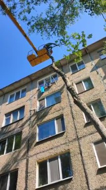 Bila Tserkva, Ukrayna, 25 Ağustos 2024: Ağaç budama. Güneşli bir günde inşaat vinç kesme sepetindeki belediye çalışanları şehrin yakınındaki evde taç takıyorlar. Dalları kesen işçiler. Dikey