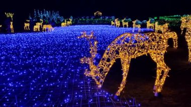 Gece kenarlarında parıldayan sarı geyik figürleriyle parıldayan lacivert çelenklerle kaplı güzel bir tarla. Aydınlanma Parkı. Bir sürü insan yürüyor. Yeni Yıl Noel Dekorasyonu