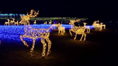 Kyiv, Ukrayna, 21 Aralık 2024 - Pek çok Noel 'de, aydınlatma parkında birçok yürüyen insanla birlikte gece vakti mavi parıldayan çelenk ile kaplı metal çerçeve üzerinde parıldayan LED sarı geyik figürleri.