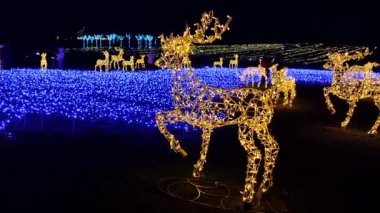Geceleri aydınlatma parkında mavi çelenk ile kaplanmış metal çerçevede parıldayan birçok Noel yıldızı sarı geyik figürleri görülüyor. Bir sürü yürüyen insan. Yılbaşı Yılbaşı Parlak Dekorasyonu