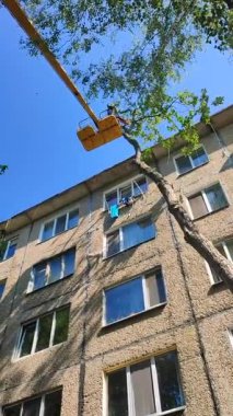 Ağaç budamak. Güneşli bir günde inşaat vinç kesme sepetindeki belediye çalışanları şehrin yakınındaki evde taç takıyorlar. Dalları kesen işçiler. Dikey