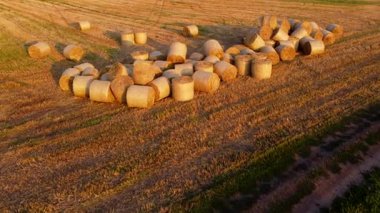 Bir yaz akşamı gün batımında birçok saman balyası tarlaya saçıldı. Bir yaz sabahı gün doğumunda bir tarlada bir sürü saman yığınının üzerinde uçmak. Saha çalışması. Tarım arazisi