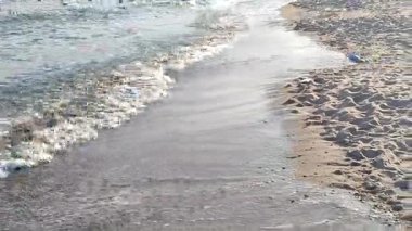 Deniz dalgaları deniz kıyısındaki kumsalda yuvarlanıyor ve bir sonbahar günü beyaz bir kuş deniz martısı..