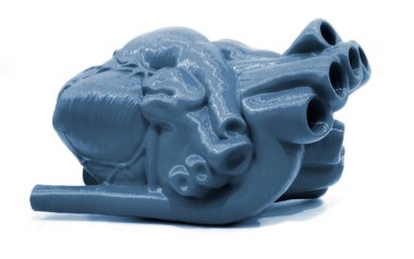 Beyaz zemin üzerinde mavi plastikten üç boyutlu bir yazıcıya basılmış insan kalbi prototipi. Yeni modern 3D yazıcı tıbbi teknolojileri
