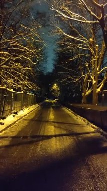 Asfalt yolu ve şehirde kış akşamı karla kaplı ağaçlar. Şehir yolu ve kenarlarında ağaçlar. Geceleri sokak lambasının ışığıyla aydınlatılan karlar. Şehir kış gecesi manzarası. Dikey