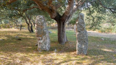 Sardinya Sardegna 'daki dev ve menhir mezarı. İtalya. Güney Sardunya' daki arkeolojik anıt tarihi alanında duran büyük megalit taşı.