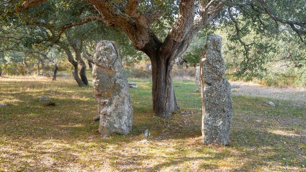 Sardinya Sardegna 'daki dev ve menhir mezarı. İtalya. Güney Sardunya' daki arkeolojik anıt tarihi alanında duran büyük megalit taşı.