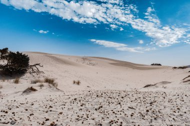 İtalya 'nın Sardunya adasındaki Porto Pino kasabasının yakınındaki sahilde kum tepeleri.