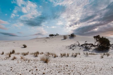 İtalya 'nın Sardunya adasındaki Porto Pino kasabasının yakınındaki sahilde kum tepeleri.