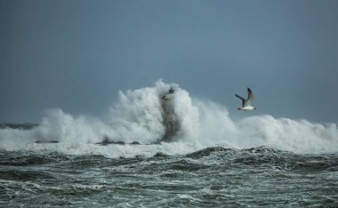 the lighthouse of the mangiabarche in calasetta, in southern sardinia, submerged by the waves of the stormy sea