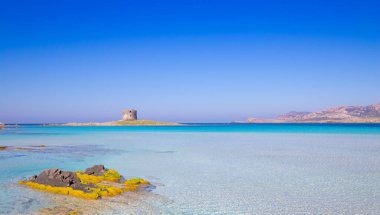 Sardunya Denizi 'nin güzelliği ve onun kristal suları La Pelosa, Stintino North sardunya sahillerinde