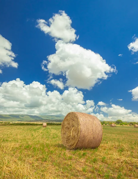 Круглые Тюки Готовые Сбору Зеленой Траве Сером Небе — стоковое фото