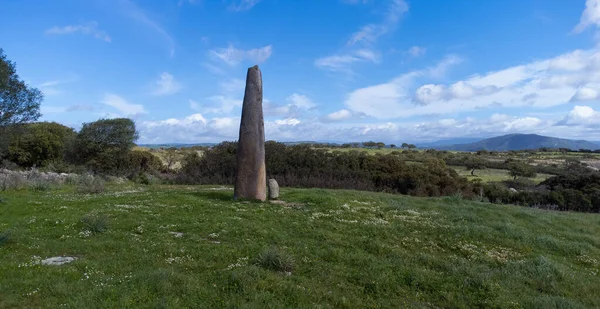 Luchtfoto Van Necropolis Van Forrus Menhirs Van Monte Corru Tundu — Stockfoto