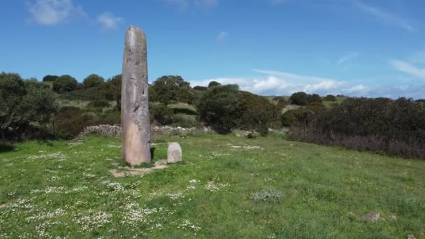 Antik Kilátás Nekropolisz Forrus Menhirs Monte Corru Tundu Villa Sant — Stock videók