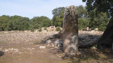 Güney Sardunya 'daki Goni' deki Pranu Matteddu arkeoloji parkının devleri ve mensuplarının mezarı.