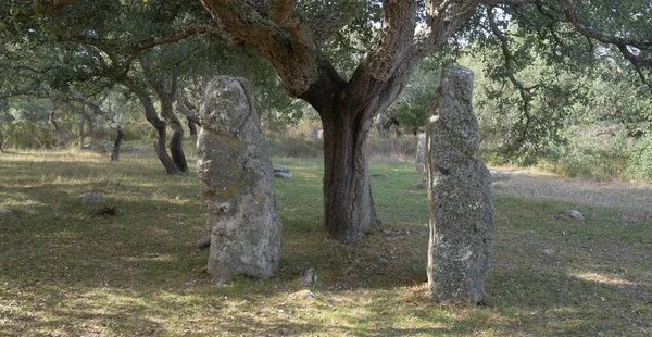 Tombe Des Géants Menhirs Parc Archéologique Pranu Matteddu Goni Dans — Photo