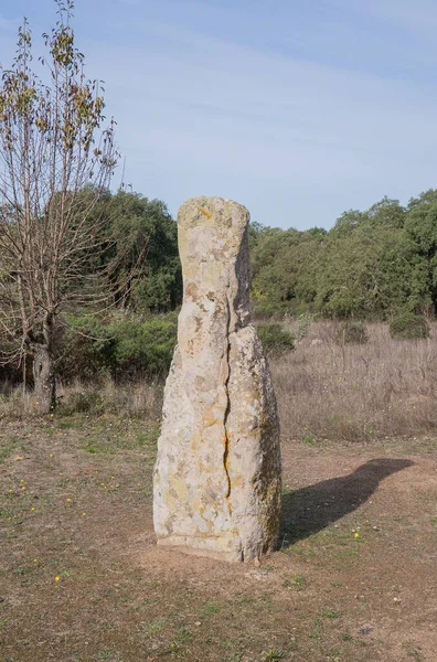 Tombe Des Géants Menhirs Parc Archéologique Pranu Matteddu Goni Dans — Photo