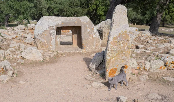 Tumba Los Gigantes Menhires Del Parque Arqueológico Pranu Matteddu Goni — Foto de Stock