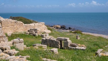 Tharros harabeleri, Sardunya 'nın merkezindeki Cabras' taki Sinis yarımadasında antik bir Fenike şehri.
