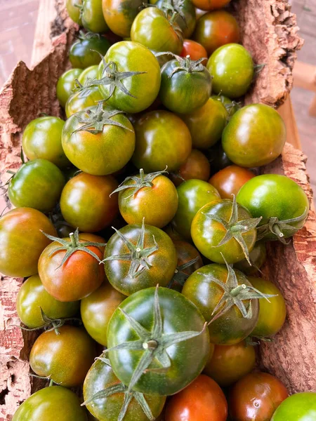 Camona tomatoes in a box ready for sale