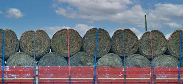 Lorry Loaded Bales Straw Drives Wheat Stubble Wheat Harvesting Bales — Foto de Stock