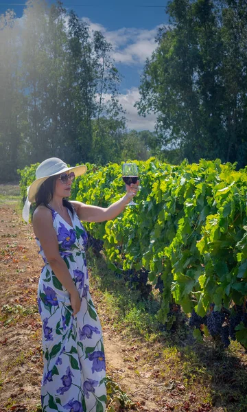 Young woman with glass of wine in vineyard on sunny day, front vie