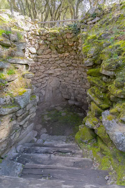 Romanzesu 'nun Nuragic kompleksi. Sardini' nin merkezinde kutsal kuyular ve Bitti nuraghi var.