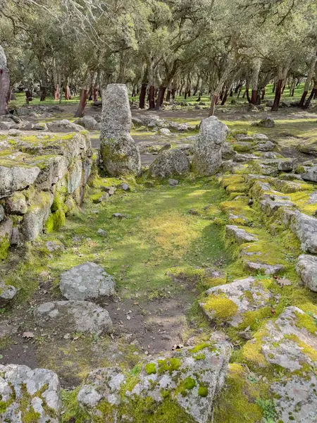 Romanzesu 'nun Nuragic kompleksi. Sardini' nin merkezinde kutsal kuyular ve Bitti nuraghi var.