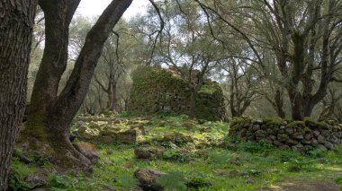 Santa Cristina 'nın Nuraghe' si Sardunya 'nın merkezinde aynı isimdeki nuragic köyünde.