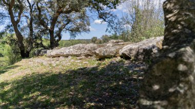 Kuzey Sardunya 'daki Calangianus' ta Pascaredda Devlerinin Mezarı