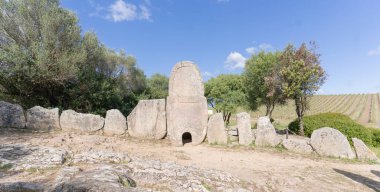 Nuragic nekropolünün arkeolojik kalıntıları Coddu Vecchiu 'nun dev mezarları - arzachena