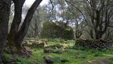 Santa Cristina arkeoloji parkında Nuraghe Santa Cristina