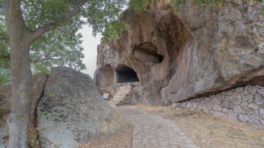 Kuzey Sardunya 'da Sant Andrea Priu Bonorva' dan nekropolis ve domus de janas