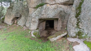 Domus de Janas necropolis Ludurru Budduso, Kuzey Sardunya