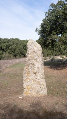 Megalitik menhirler Nuragic Village Pranu muttedu Goni 'de ortaya çıkar.