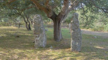 Megalitik menhirler Nuragic Village Pranu muttedu Goni 'de ortaya çıkar.