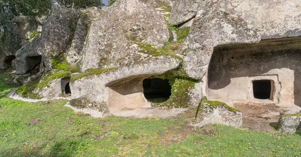 Domus de Janas necropolis Ludurru Budduso, Kuzey Sardunya