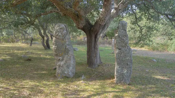 Megalitik menhirler Nuragic Village Pranu muttedu Goni 'de ortaya çıkar.