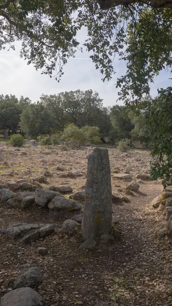 stock image megalithic menhirs arise in the nuragic village pranu muttedu Goni