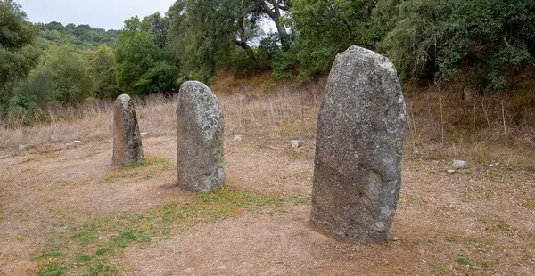Megalitik menhirler, Biru ve Concas 'ın nurajik köyünde ortaya çıkar.