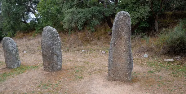 Megalitik menhirler, Biru ve Concas 'ın nurajik köyünde ortaya çıkar.