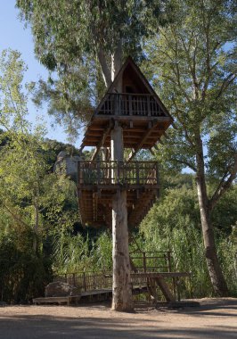 Huzurlu bir orman ortamında yuva yapmış, huzurlu bir kaçış sunan büyüleyici ahşap ev.