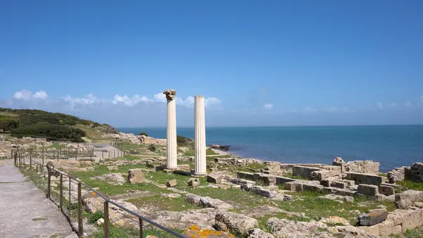 Oristano, Sardinya, İtalya 'daki Kerkouane unesco dünya mirası sahasında antik duvar ve yapıların kalıntıları.