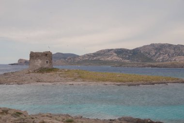 Stintino, Sardunya 'daki eski İspanyol kulesi kayalıklarda duruyor.